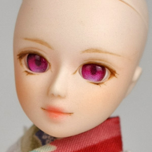 HD-TE-SGR-D