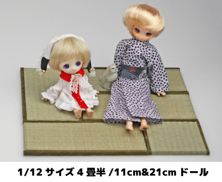 MN-T12-01