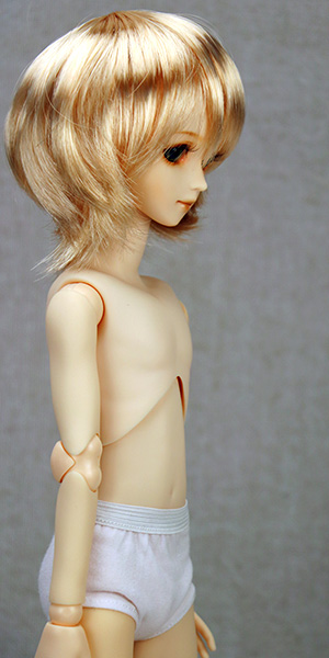 PD-BS40