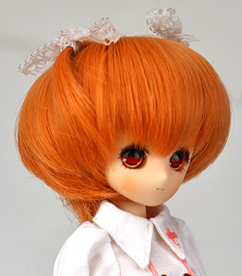 PW-T25-PBO-PM