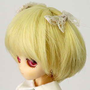PW-T25-PBO-PM