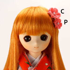 WA-KO-P